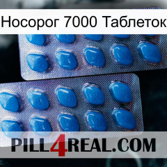 Носорог 7000 Таблеток viagra2